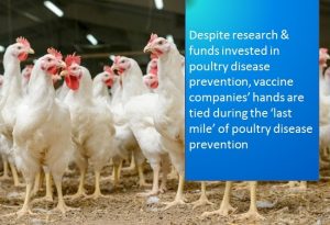 Read more about the article Last mile poultry disease prevention. What's missing?